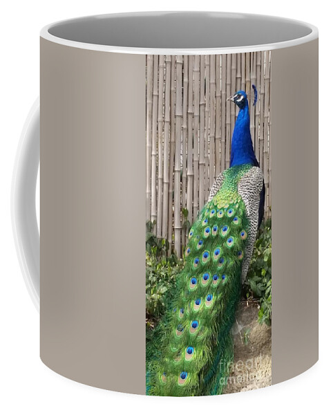 Peacock Coffee Mug featuring the photograph Around the Back by Caryl J Bohn