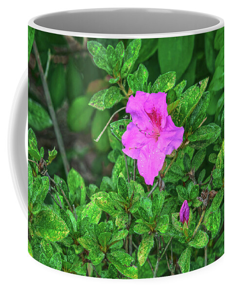 Azaleas Coffee Mug featuring the photograph Art Enables Us To Find Ourselves And Lose Ourselves At The Same Time. by Bijan Pirnia