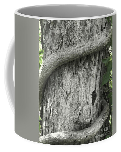Natural Coffee Mug featuring the photograph Art In Nature by Dawn Gari