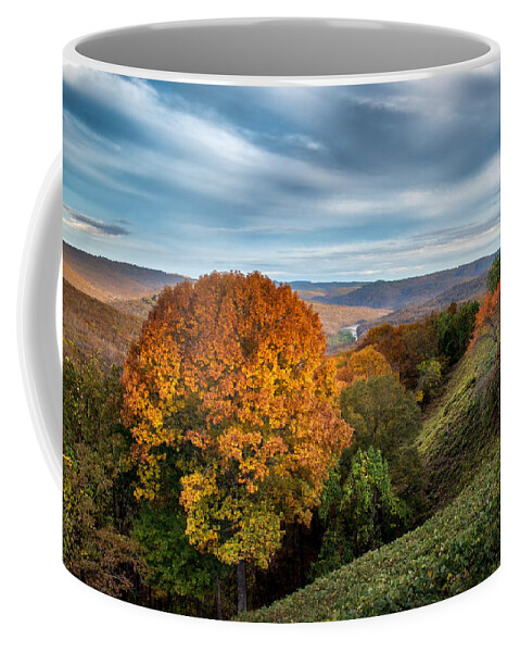Arkansas Coffee Mug featuring the photograph Artist Point by James Barber
