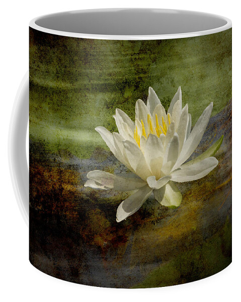 Fragrant Water Lily Coffee Mug featuring the photograph Artistic Fragrant Water Lily by Thomas Young