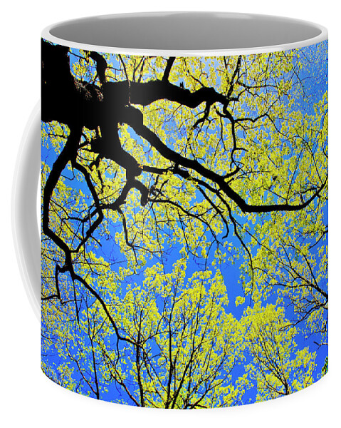Tree Canopy Coffee Mug featuring the photograph Artsy Tree Canopy Series, Early Spring - # 03 by The James Roney Collection