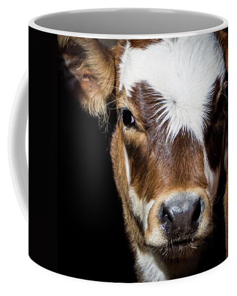 Calf Coffee Mug featuring the photograph Patches by Cheryl McClure