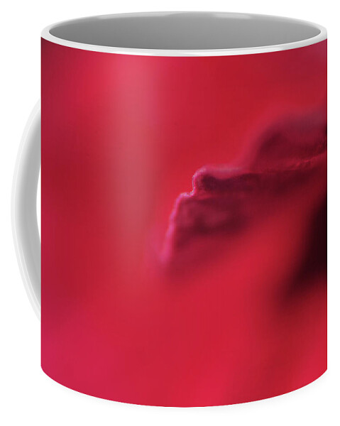 Red Coffee Mug featuring the photograph As Red as Can be by Randi Grace Nilsberg