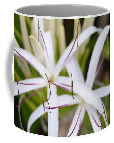 Kauai Coffee Mug featuring the photograph Asiatic Poison Lily 2 by Amy Fose