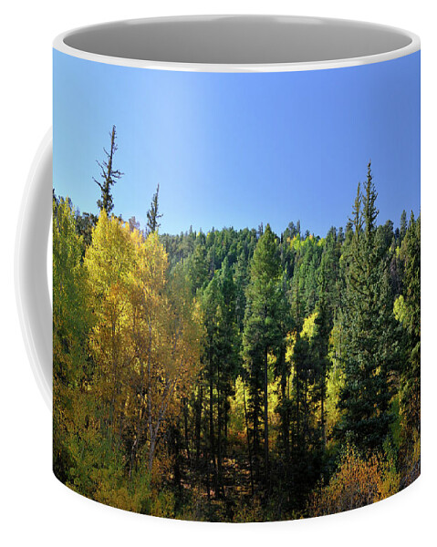Landscape Coffee Mug featuring the photograph Aspen And Cottonwood In Concert by Ron Cline
