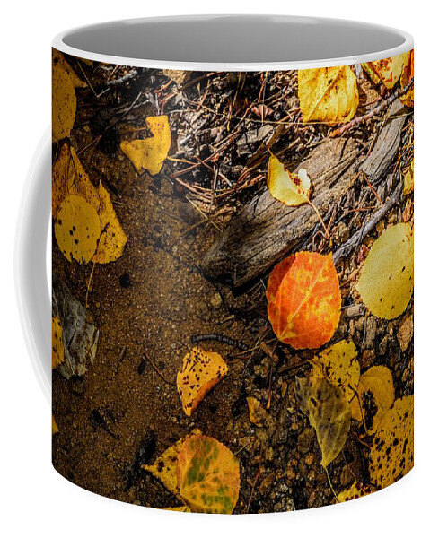 Apsen Leaf Coffee Mug featuring the photograph Aspen Floor by Michael Brungardt