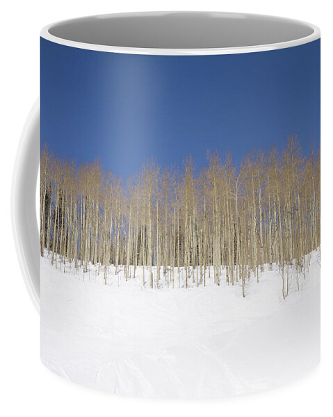 Aspen Coffee Mug featuring the photograph Aspen Grove by Sean Allen