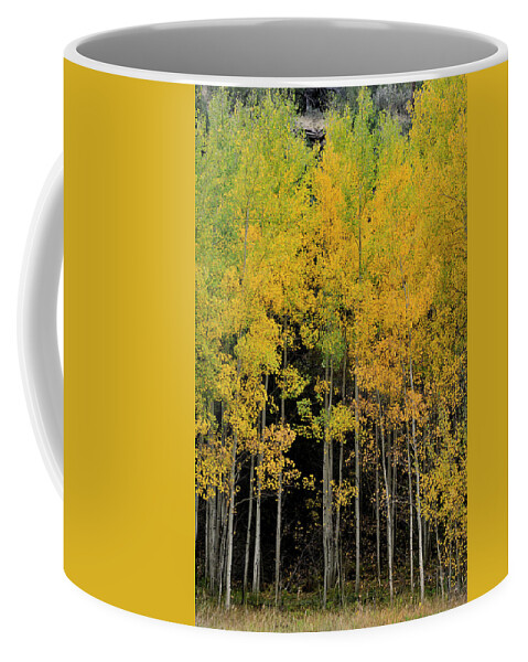Landscape Coffee Mug featuring the photograph Aspen Haven by Ron Cline
