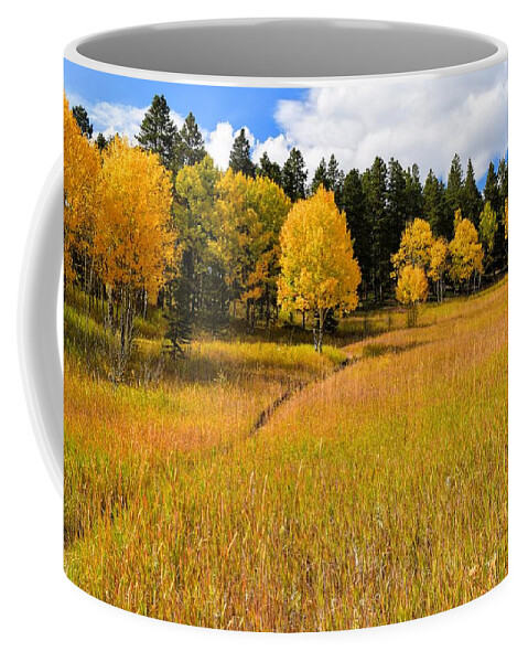 Aspen Meadow Coffee Mug featuring the photograph Aspen Meadow by Michael Brungardt