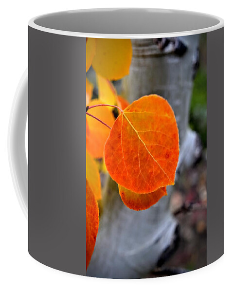 Aspen Coffee Mug featuring the photograph Aspen Red by Michael Brungardt