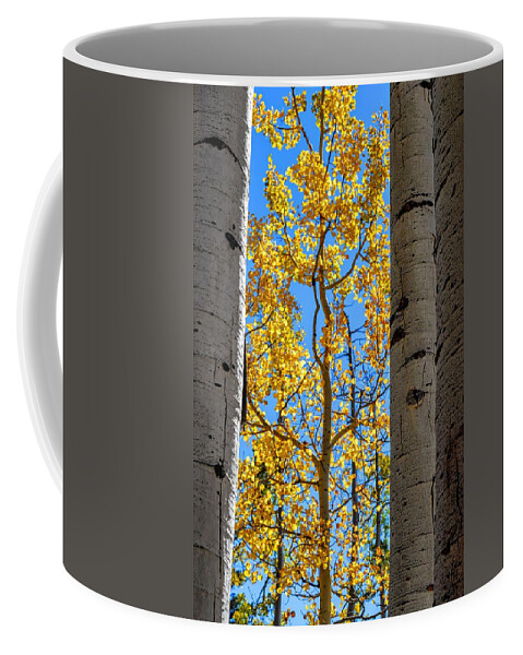 Aspen Coffee Mug featuring the photograph Aspen Sides by Michael Brungardt