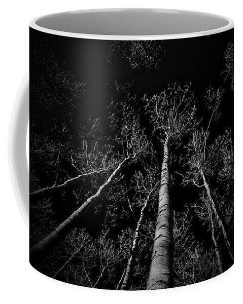 Aspen Trees Coffee Mug featuring the photograph Aspen Winter by Michael Brungardt