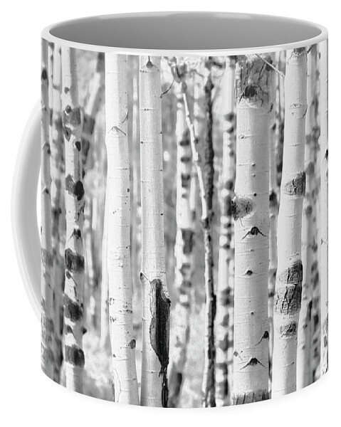 Aspen Trees Coffee Mug featuring the photograph Aspens in Black and White by Saija Lehtonen