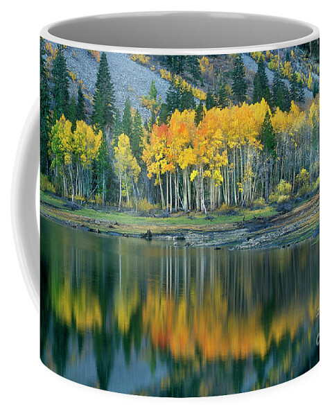 Dave Welling Coffee Mug featuring the photograph Aspens In Fall Color Along Lundy Lake Eastern Sierras California by Dave Welling