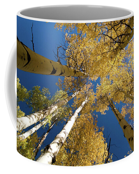 Grand Teton Coffee Mug featuring the photograph Aspens Up by Steve Stuller