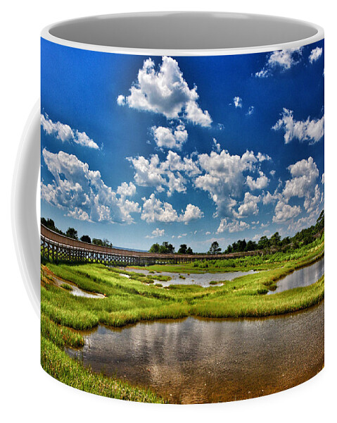 Wetlands Coffee Mug featuring the photograph Assateague Summer by Kathi Isserman