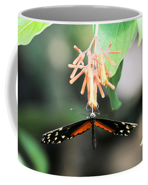 Butterfly Coffee Mug featuring the photograph At rest 1 by Lawrence Christopher