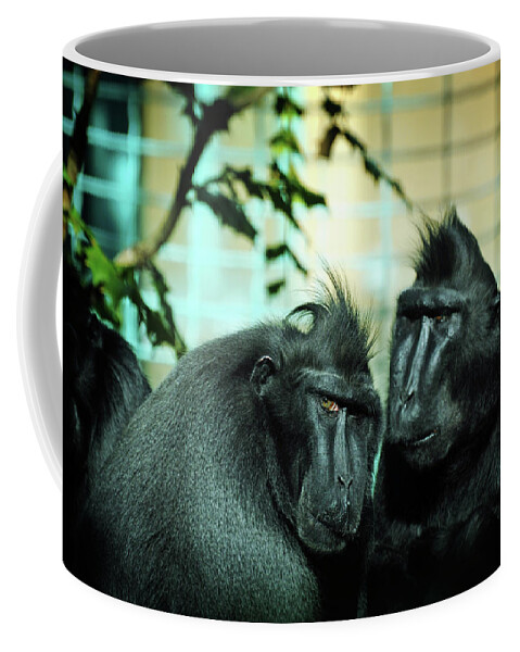 \sulawesi Macaques\ Coffee Mug featuring the photograph At the Think Tank by Rebecca Sherman