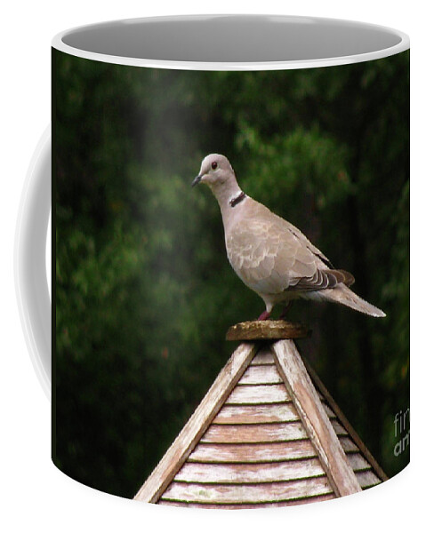 Bird Coffee Mug featuring the photograph At The Top of The Bird Feeder by Donna Brown