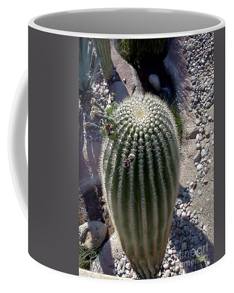 Cactus Coffee Mug featuring the photograph At the top by Pamela Henry