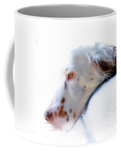 English Setter Coffee Mug featuring the photograph Athos P by Jeff Cooper