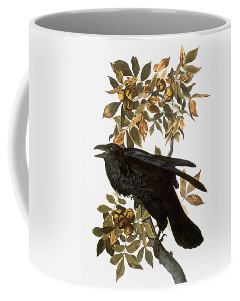 1838 Coffee Mug featuring the photograph Audubon: Raven by Granger