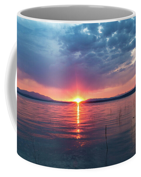 August Coffee Mug featuring the photograph August Eye by Jan Davies