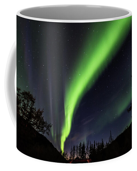 Alaska Coffee Mug featuring the photograph Aurora Borealis, Norther Lights in Denali National Park by Brenda Jacobs
