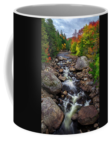 Ausable River Coffee Mug featuring the photograph Ausable Autumn 2 by Mark Papke