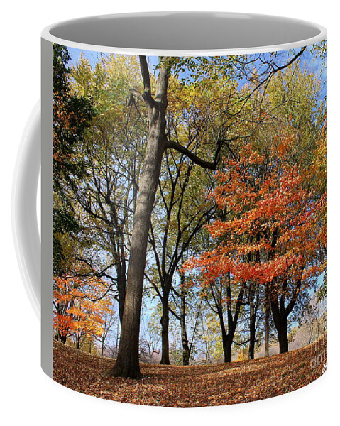 Fall Colors Coffee Mug featuring the photograph Autumn 2017 by Elfriede Fulda