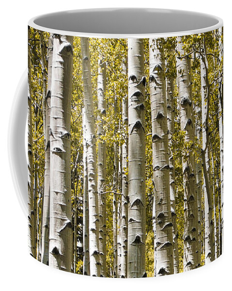 3scape Photos Coffee Mug featuring the photograph Autumn Aspens by Adam Romanowicz