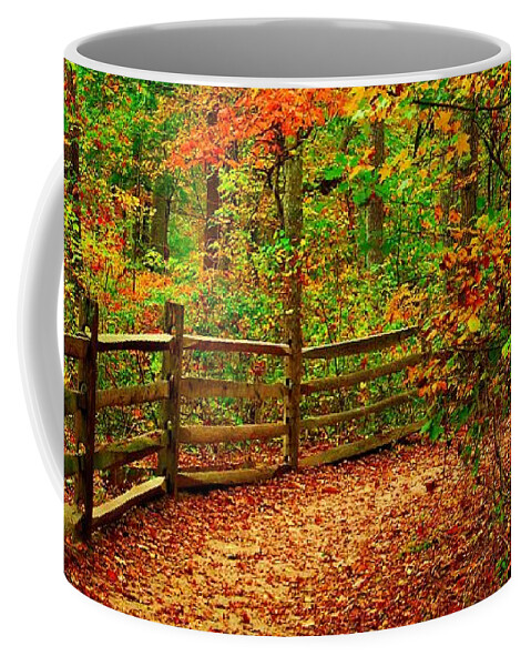 Autumn Landscapes Coffee Mug featuring the photograph Autumn Bend - Allaire State Park by Angie Tirado