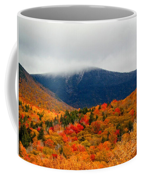 Autumn Coffee Mug featuring the photograph Autumn Bliss by Elizabeth Dow