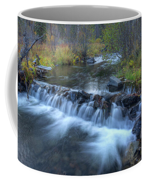 Colorado Coffee Mug featuring the photograph Autumn Color on the Little Colorado by Sue Cullumber
