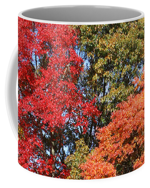 Trees Coffee Mug featuring the photograph Autumn Color Spray by William Selander