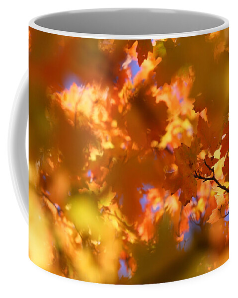 Landscape Coffee Mug featuring the photograph Autumn Colors and Leaves by Brett Pelletier