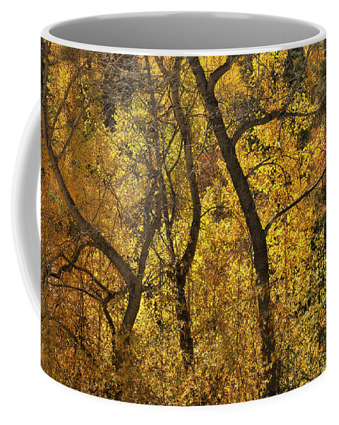 Landscape Coffee Mug featuring the photograph Autumn Cottonwood Thicket by Ron Cline