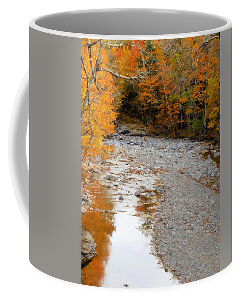 Autumn Creek Coffee Mug featuring the painting Autumn creek 9 by Jeelan Clark