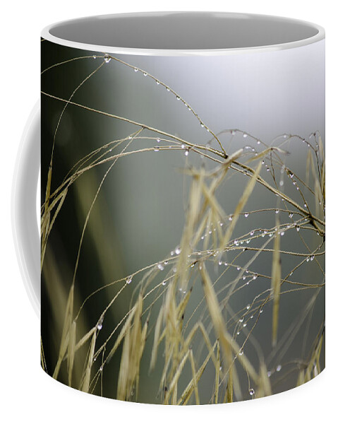 Autumn Coffee Mug featuring the photograph Autumn dew on grass by Spikey Mouse Photography