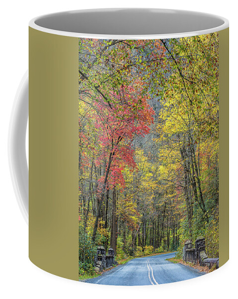 Autumn Coffee Mug featuring the photograph Autumn Drive Through Pisgah National Forest by Donnie Whitaker