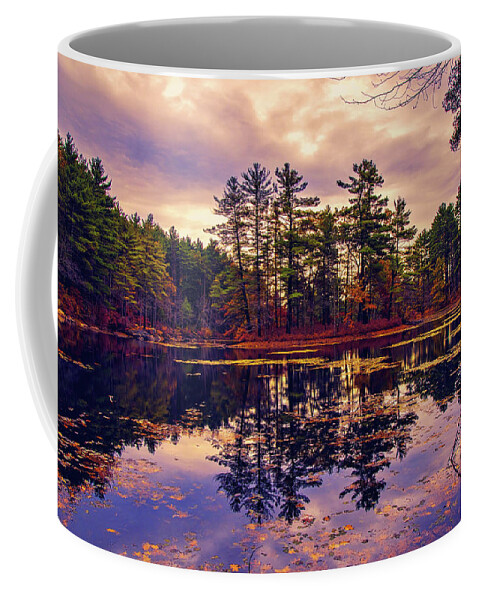 Trees Coffee Mug featuring the photograph Autumn evening reflections by Lilia S