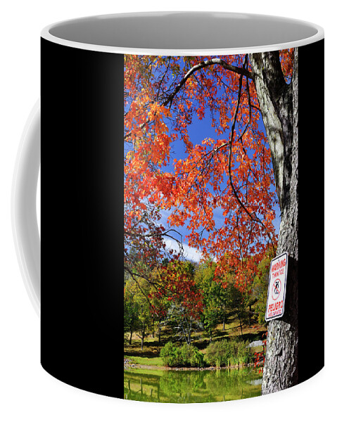 Autumn Coffee Mug featuring the photograph Autumn Fire and Ice by Luke Moore