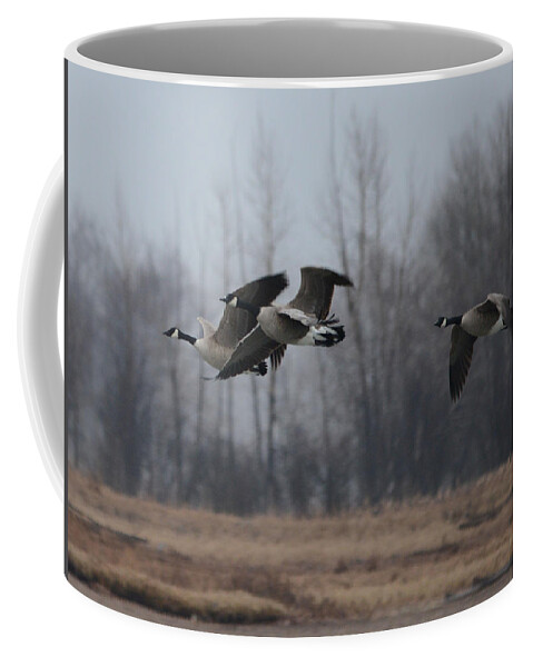 Geese Coffee Mug featuring the photograph Autumn Flight by Whispering Peaks Photography