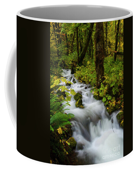 Fall Coffee Mug featuring the photograph Autumn Floodwaters by Michael Dawson