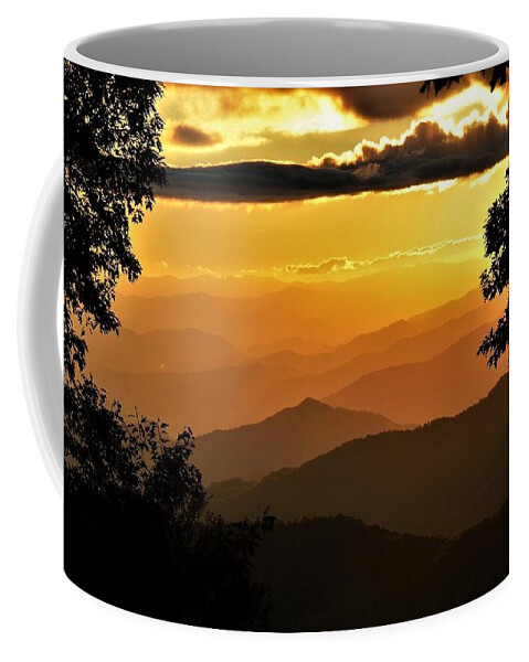 Sunset Coffee Mug featuring the photograph Autumn Gold by Chuck Brown