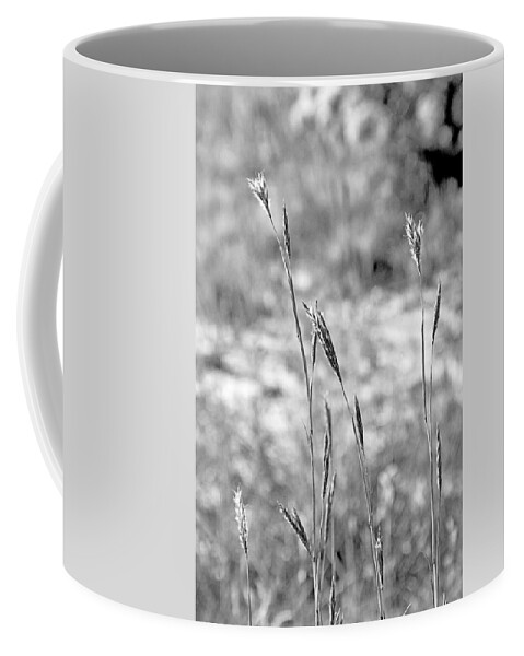 Autumn Coffee Mug featuring the photograph Autumn Grasses by Robert Meyers-Lussier