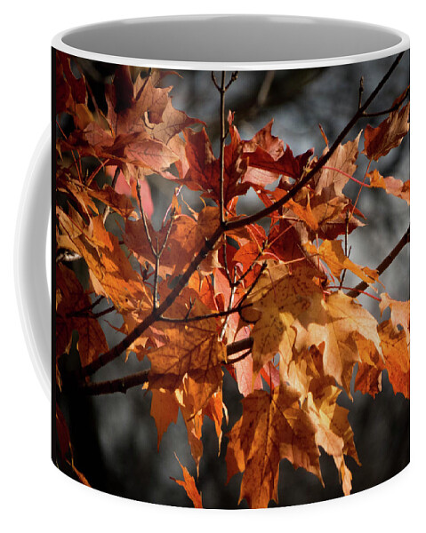  Coffee Mug featuring the photograph Autumn Gray by Kimberly Mackowski