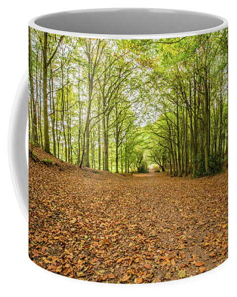 Woodland Coffee Mug featuring the photograph Autumn has arrived by Ed James