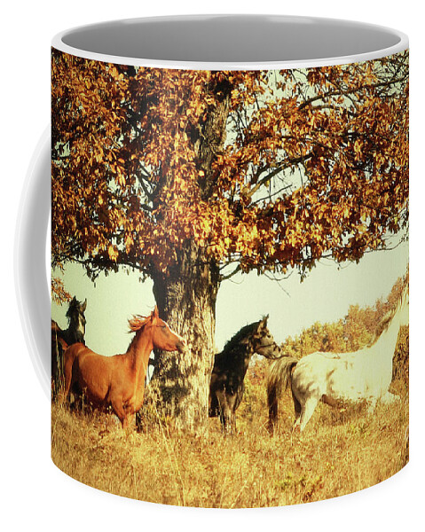 Horse Coffee Mug featuring the photograph Autumn Horses II by Dimitar Hristov